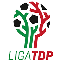 Liga TDP Group 8 Logo