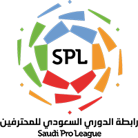 Professional League Logo