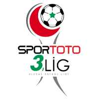 3. Lig Group 3 Logo