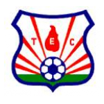 Tocantins Futebol Clube