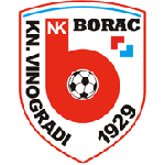 NK Borac Kneževi Vinogradi