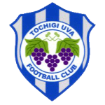 Tochigi City
