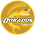 CSyD Dorados de Sinaloa Stats