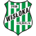 KS Wisłoka Dębica Estat.