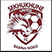 Sekhukhune United FC Stats