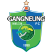Gangneung City Government FC Štatistiky