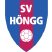 SV Höngg Statiszt.