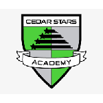 Cedar Stars